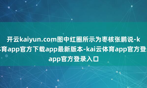 开云kaiyun.com图中红圈所示为枣核张鹏说-kai云体育app官方下载app最新版本-kai云体育app官方登录入口